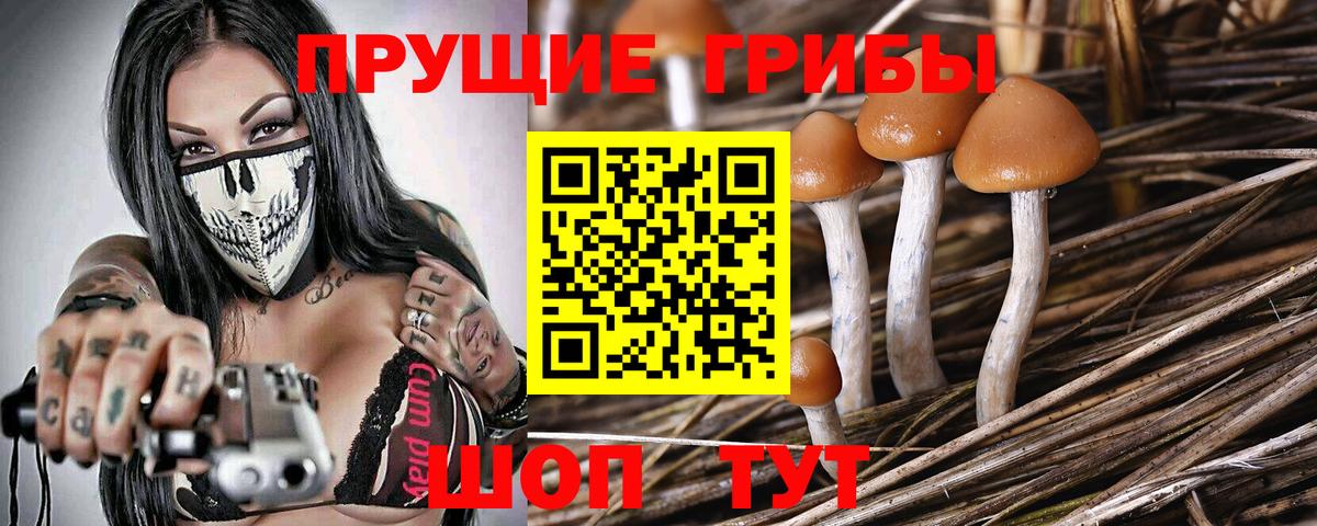 Галлюциногенные грибы Magic Shrooms Кострома